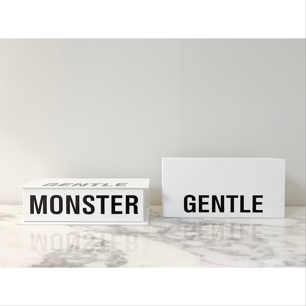 Gentle Monster Box